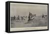 Camel Corps at Wadi Halfeh, Upper Egypt-null-Framed Stretched Canvas