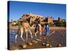 Camel Driver, Ait Benhaddou, Atlas Mountains, Morocco, Mr-Doug Pearson-Stretched Canvas