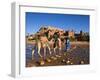 Camel Driver, Ait Benhaddou, Atlas Mountains, Morocco, Mr-Doug Pearson-Framed Premium Photographic Print