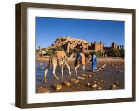 Camel Driver, Ait Benhaddou, Atlas Mountains, Morocco, Mr-Doug Pearson-Framed Photographic Print