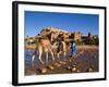 Camel Driver, Ait Benhaddou, Atlas Mountains, Morocco, Mr-Doug Pearson-Framed Photographic Print