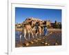 Camel Driver, Ait Benhaddou, Atlas Mountains, Morocco, Mr-Doug Pearson-Framed Photographic Print