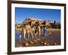 Camel Driver, Ait Benhaddou, Atlas Mountains, Morocco, Mr-Doug Pearson-Framed Photographic Print