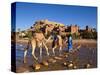 Camel Driver, Ait Benhaddou, Atlas Mountains, Morocco, Mr-Doug Pearson-Stretched Canvas