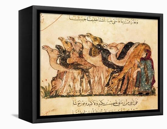 Camel-Driver, Assemblies of Al-Hariri-Yahya ibn Mahmud Al-Wasiti-Framed Stretched Canvas