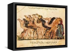 Camel-Driver, Assemblies of Al-Hariri-Yahya ibn Mahmud Al-Wasiti-Framed Stretched Canvas