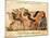 Camel-Driver, Assemblies of Al-Hariri-Yahya ibn Mahmud Al-Wasiti-Mounted Art Print