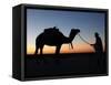 Camel Driver at Dusk in the Sahara Desert, Near Douz, Kebili, Tunisia, North Africa, Africa-Godong-Framed Stretched Canvas