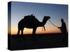 Camel Driver at Dusk in the Sahara Desert, Near Douz, Kebili, Tunisia, North Africa, Africa-Godong-Stretched Canvas