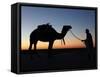 Camel Driver at Dusk in the Sahara Desert, Near Douz, Kebili, Tunisia, North Africa, Africa-Godong-Framed Stretched Canvas