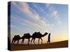 Camel Driver, Sahara Desert, Merzouga, Morocco, (MR)-Doug Pearson-Stretched Canvas