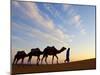 Camel Driver, Sahara Desert, Merzouga, Morocco, (MR)-Doug Pearson-Mounted Photographic Print