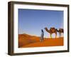 Camel Driver, Sahara Desert, Merzouga, Morocco, (MR)-Doug Pearson-Framed Photographic Print