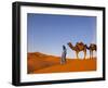 Camel Driver, Sahara Desert, Merzouga, Morocco, (MR)-Doug Pearson-Framed Photographic Print