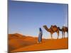 Camel Driver, Sahara Desert, Merzouga, Morocco, (MR)-Doug Pearson-Mounted Photographic Print