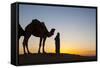 Camel Driver, Sahara Desert, Merzouga, Morocco, North Africa, Africa-Doug Pearson-Framed Stretched Canvas