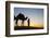 Camel Driver, Sahara Desert, Merzouga, Morocco, North Africa, Africa-Doug Pearson-Framed Photographic Print