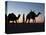 Camel Drivers at Dusk in the Sahara Desert, Near Douz, Kebili, Tunisia, North Africa, Africa-Godong-Stretched Canvas