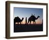 Camel Drivers at Dusk in the Sahara Desert, Near Douz, Kebili, Tunisia, North Africa, Africa-Godong-Framed Photographic Print