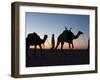 Camel Drivers at Dusk in the Sahara Desert, Near Douz, Kebili, Tunisia, North Africa, Africa-Godong-Framed Photographic Print