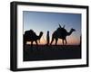 Camel Drivers at Dusk in the Sahara Desert, Near Douz, Kebili, Tunisia, North Africa, Africa-Godong-Framed Photographic Print