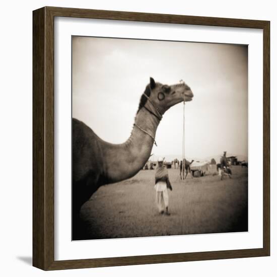 Camel Fair in Pushkar, India-Theo Westenberger-Framed Photographic Print