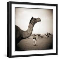 Camel Fair in Pushkar, India-Theo Westenberger-Framed Photographic Print