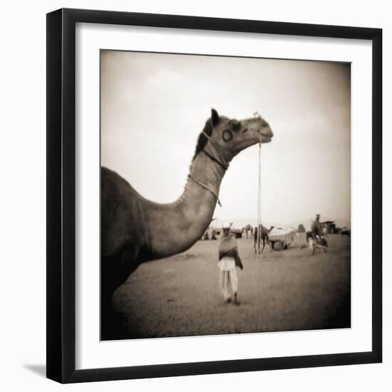 Camel Fair in Pushkar, India-Theo Westenberger-Framed Photographic Print