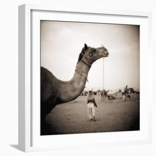 Camel Fair in Pushkar, India-Theo Westenberger-Framed Photographic Print