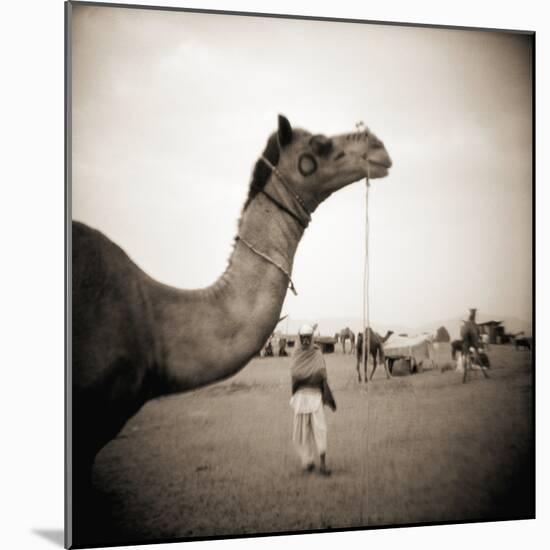 Camel Fair in Pushkar, India-Theo Westenberger-Mounted Photographic Print