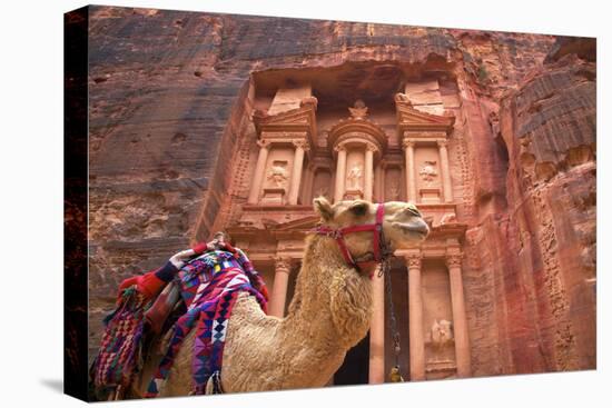 Camel in Front of the Treasury, Petra, Jordan, Middle East-Neil Farrin-Stretched Canvas