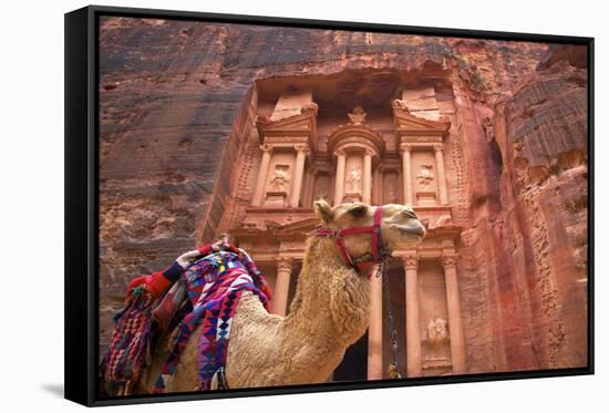 Camel in Front of the Treasury, Petra, Jordan, Middle East-Neil Farrin-Framed Stretched Canvas