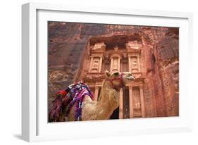 Camel in Front of the Treasury, Petra, Jordan, Middle East-Neil Farrin-Framed Photographic Print