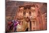 Camel in Front of the Treasury, Petra, Jordan, Middle East-Neil Farrin-Mounted Photographic Print
