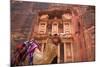 Camel in Front of the Treasury, Petra, Jordan, Middle East-Neil Farrin-Mounted Photographic Print