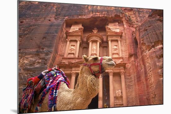 Camel in Front of the Treasury, Petra, Jordan, Middle East-Neil Farrin-Mounted Photographic Print