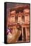 Camel in Front of the Treasury, Petra, Jordan, Middle East-Neil Farrin-Framed Stretched Canvas