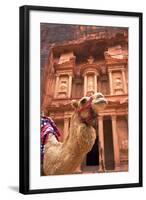 Camel in Front of the Treasury, Petra, Jordan, Middle East-Neil Farrin-Framed Photographic Print