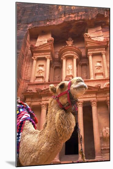 Camel in Front of the Treasury, Petra, Jordan, Middle East-Neil Farrin-Mounted Photographic Print