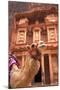 Camel in Front of the Treasury, Petra, Jordan, Middle East-Neil Farrin-Mounted Photographic Print