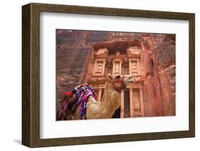 Camel in Front of the Treasury, Petra, Jordan, Middle East-Neil Farrin-Framed Photographic Print