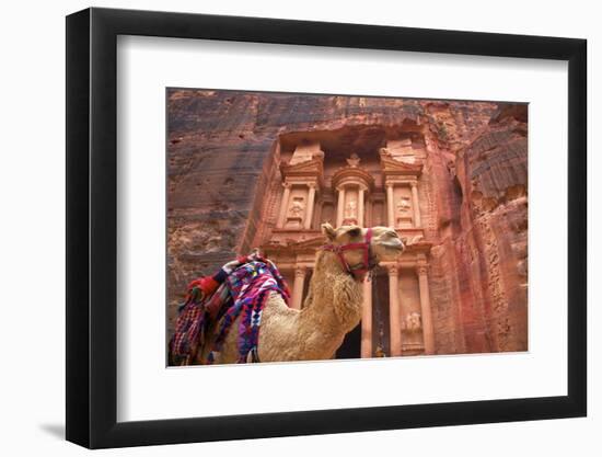 Camel in Front of the Treasury, Petra, Jordan, Middle East-Neil Farrin-Framed Photographic Print