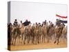 Camel in Paddock, Races Held Every Year as Part of Palmyra Festival, Syria-Julian Love-Stretched Canvas