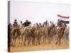 Camel in Paddock, Races Held Every Year as Part of Palmyra Festival, Syria-Julian Love-Stretched Canvas