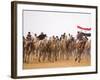 Camel in Paddock, Races Held Every Year as Part of Palmyra Festival, Syria-Julian Love-Framed Photographic Print