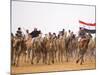 Camel in Paddock, Races Held Every Year as Part of Palmyra Festival, Syria-Julian Love-Mounted Photographic Print