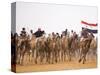 Camel in Paddock, Races Held Every Year as Part of Palmyra Festival, Syria-Julian Love-Stretched Canvas