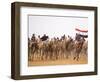 Camel in Paddock, Races Held Every Year as Part of Palmyra Festival, Syria-Julian Love-Framed Photographic Print