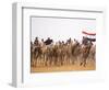 Camel in Paddock, Races Held Every Year as Part of Palmyra Festival, Syria-Julian Love-Framed Photographic Print