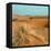 Camel in Sahara Desert-Steven Boone-Framed Stretched Canvas